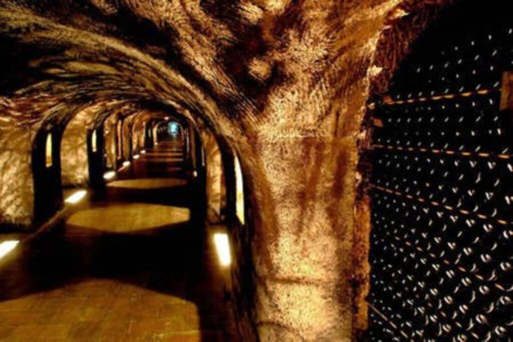 Suite Premium Le Figaro 2 Epernay Ngoại thất bức ảnh