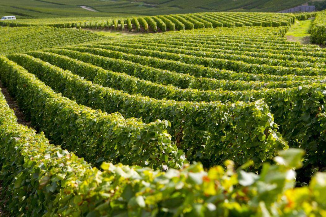 Suite Premium Le Figaro 2 Epernay Ngoại thất bức ảnh